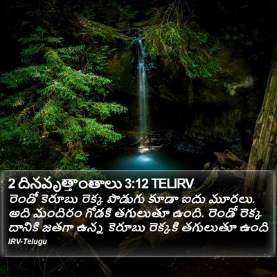 2 దినవృత్తాంతాలు 3:12 TELIRV Bible Verse Image