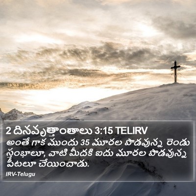 2 దినవృత్తాంతాలు 3:15 TELIRV Bible Verse Image
