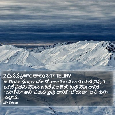 2 దినవృత్తాంతాలు 3:17 TELIRV Bible Verse Image