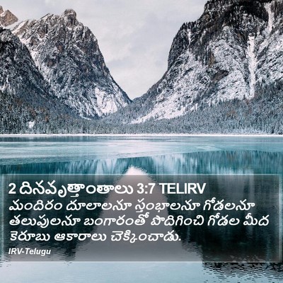 2 దినవృత్తాంతాలు 3:7 TELIRV Bible Verse Image