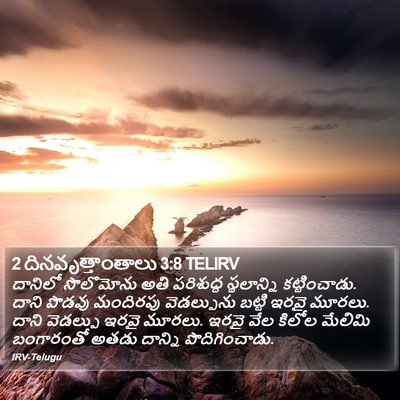 2 దినవృత్తాంతాలు 3:8 TELIRV Bible Verse Image