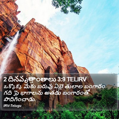 2 దినవృత్తాంతాలు 3:9 TELIRV Bible Verse Image