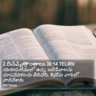 2 దినవృత్తాంతాలు 30:14 TELIRV Bible Verse Image