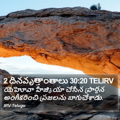 2 దినవృత్తాంతాలు 30:20 TELIRV Bible Verse Image