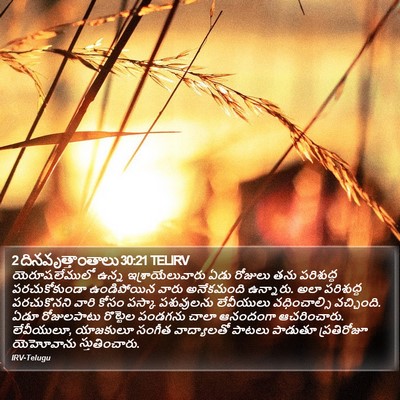 2 దినవృత్తాంతాలు 30:21 TELIRV Bible Verse Image