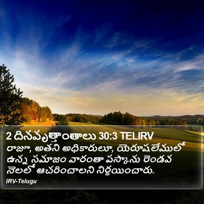 2 దినవృత్తాంతాలు 30:3 TELIRV Bible Verse Image