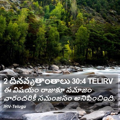 2 దినవృత్తాంతాలు 30:4 TELIRV Bible Verse Image