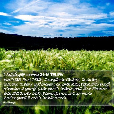 2 దినవృత్తాంతాలు 31:15 TELIRV Bible Verse Image