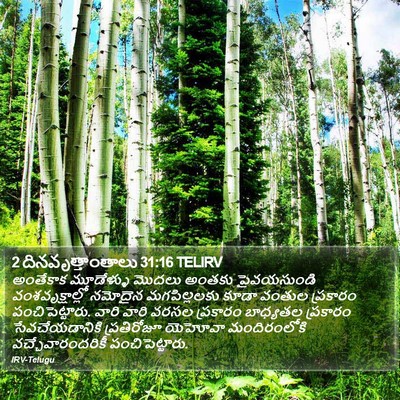 2 దినవృత్తాంతాలు 31:16 TELIRV Bible Verse Image