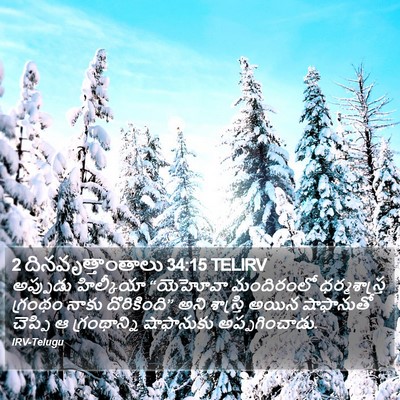 2 దినవృత్తాంతాలు 34:15 TELIRV Bible Verse Image