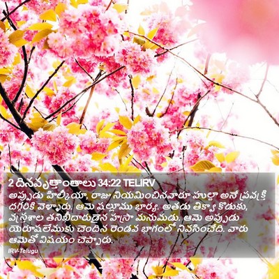 2 దినవృత్తాంతాలు 34:22 TELIRV Bible Verse Image