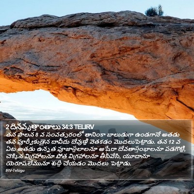 2 దినవృత్తాంతాలు 34:3 TELIRV Bible Verse Image