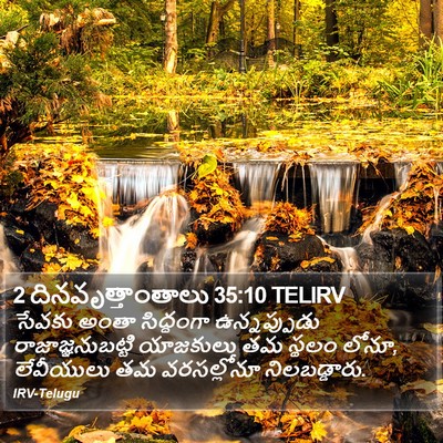 2 దినవృత్తాంతాలు 35:10 TELIRV Bible Verse Image