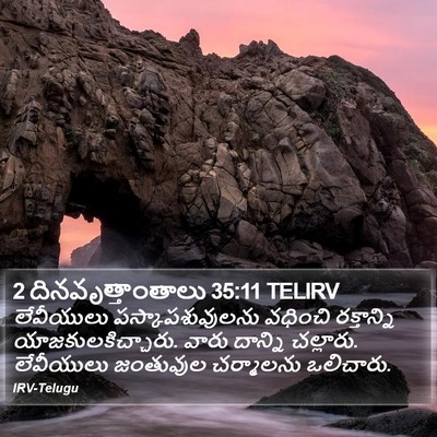 2 దినవృత్తాంతాలు 35:11 TELIRV Bible Verse Image