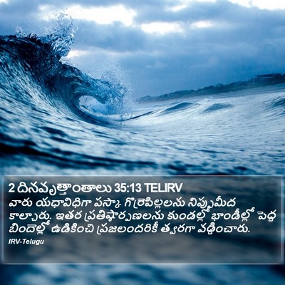 2 దినవృత్తాంతాలు 35:13 TELIRV Bible Verse Image