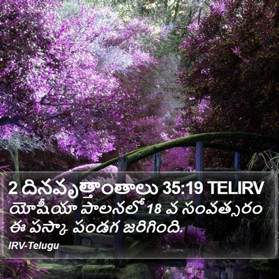 2 దినవృత్తాంతాలు 35:19 TELIRV Bible Verse Image
