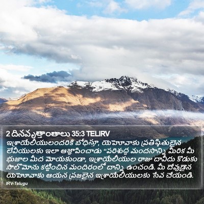 2 దినవృత్తాంతాలు 35:3 TELIRV Bible Verse Image