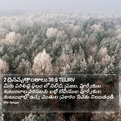 2 దినవృత్తాంతాలు 35:5 TELIRV Bible Verse Image
