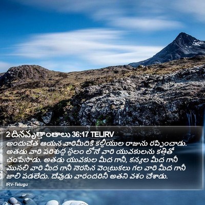 2 దినవృత్తాంతాలు 36:17 TELIRV Bible Verse Image
