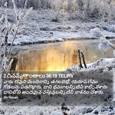 2 దినవృత్తాంతాలు 36:19 TELIRV Bible Verse Image