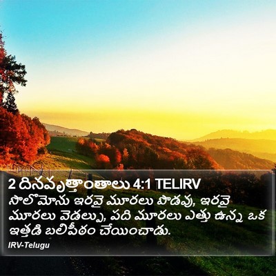 2 దినవృత్తాంతాలు 4:1 TELIRV Bible Verse Image