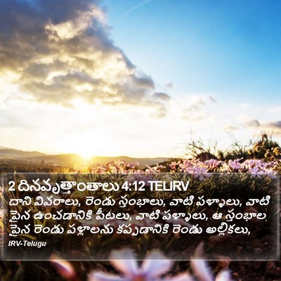 2 దినవృత్తాంతాలు 4:12 TELIRV Bible Verse Image