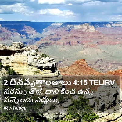 2 దినవృత్తాంతాలు 4:15 TELIRV Bible Verse Image