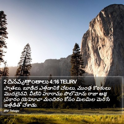 2 దినవృత్తాంతాలు 4:16 TELIRV Bible Verse Image