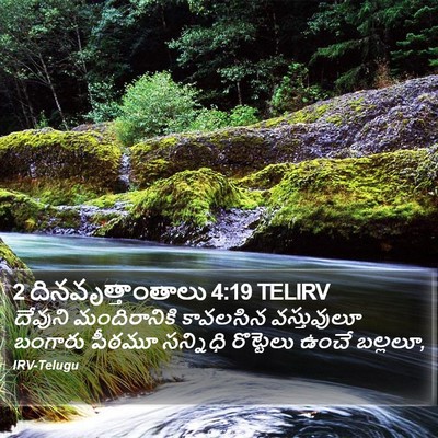 2 దినవృత్తాంతాలు 4:19 TELIRV Bible Verse Image