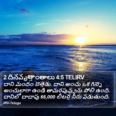 2 దినవృత్తాంతాలు 4:5 TELIRV Bible Verse Image