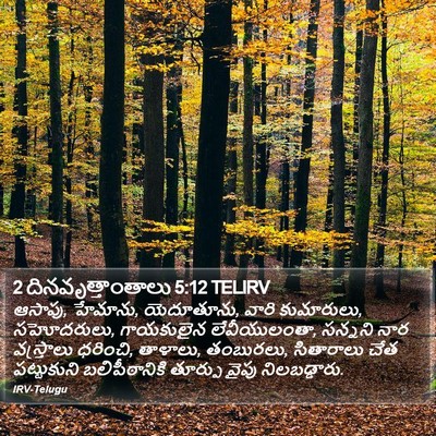 2 దినవృత్తాంతాలు 5:12 TELIRV Bible Verse Image