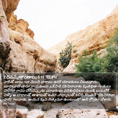2 దినవృత్తాంతాలు 5:13 TELIRV Bible Verse Image