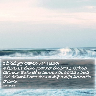 2 దినవృత్తాంతాలు 5:14 TELIRV Bible Verse Image