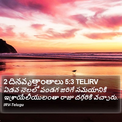 2 దినవృత్తాంతాలు 5:3 TELIRV Bible Verse Image