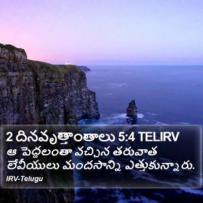 2 దినవృత్తాంతాలు 5:4 TELIRV Bible Verse Image