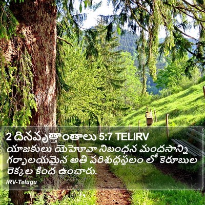 2 దినవృత్తాంతాలు 5:7 TELIRV Bible Verse Image