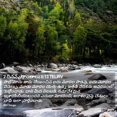 2 దినవృత్తాంతాలు 6:13 TELIRV Bible Verse Image