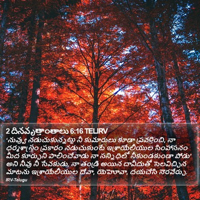 2 దినవృత్తాంతాలు 6:16 TELIRV Bible Verse Image