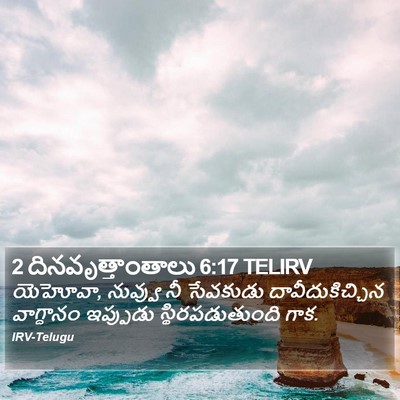2 దినవృత్తాంతాలు 6:17 TELIRV Bible Verse Image