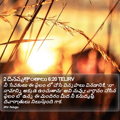2 దినవృత్తాంతాలు 6:20 TELIRV Bible Verse Image