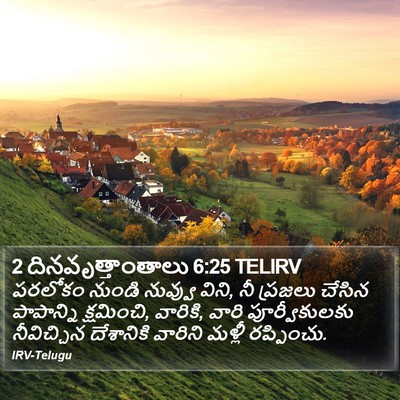 2 దినవృత్తాంతాలు 6:25 TELIRV Bible Verse Image