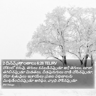 2 దినవృత్తాంతాలు 6:28 TELIRV Bible Verse Image