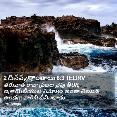 2 దినవృత్తాంతాలు 6:3 TELIRV Bible Verse Image