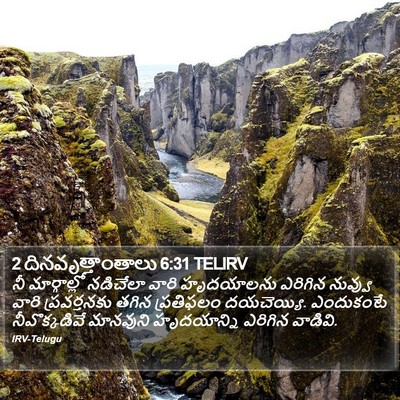 2 దినవృత్తాంతాలు 6:31 TELIRV Bible Verse Image