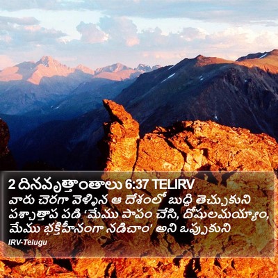 2 దినవృత్తాంతాలు 6:37 TELIRV Bible Verse Image