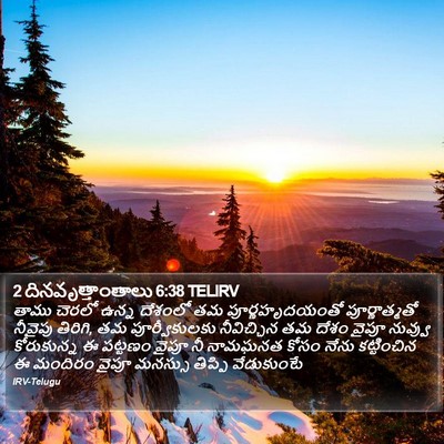 2 దినవృత్తాంతాలు 6:38 TELIRV Bible Verse Image