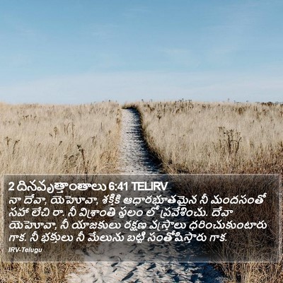 2 దినవృత్తాంతాలు 6:41 TELIRV Bible Verse Image