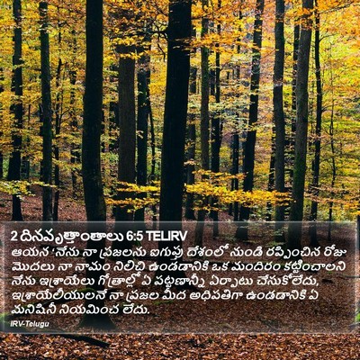 2 దినవృత్తాంతాలు 6:5 TELIRV Bible Verse Image