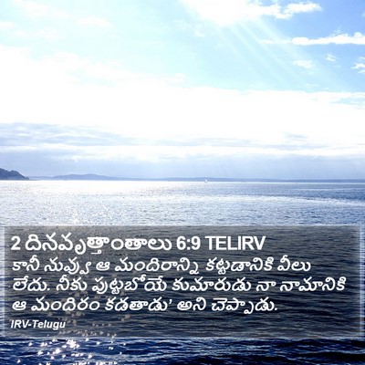 2 దినవృత్తాంతాలు 6:9 TELIRV Bible Verse Image