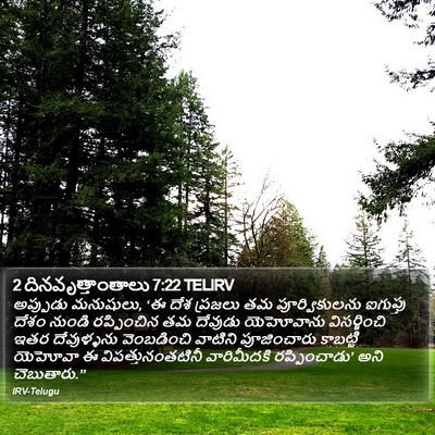 2 దినవృత్తాంతాలు 7:22 TELIRV Bible Verse Image